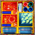 Fire Tower and Rising Flames Expansion Board Game Organizer and Insert (etsy image id: 6208952984)
