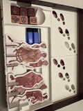 Awkward Guests 2 Organizer / Insert (etsy image id: 7776938700)